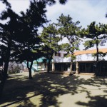 Ｎ幼稚園
